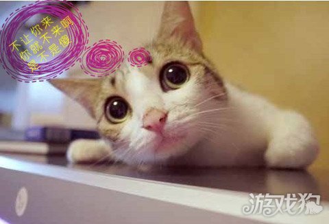 95后SG泣述没事别想不开来顺网VR