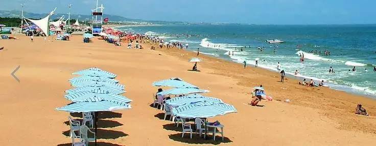 烟台青岛哪个更适合居住,青岛威海烟台哪个最适合居住