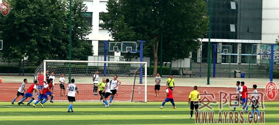 豫冠联赛河南队,2020河南豫冠联赛