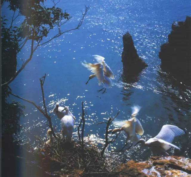 辽宁景点门票,辽宁省景点大全一览表