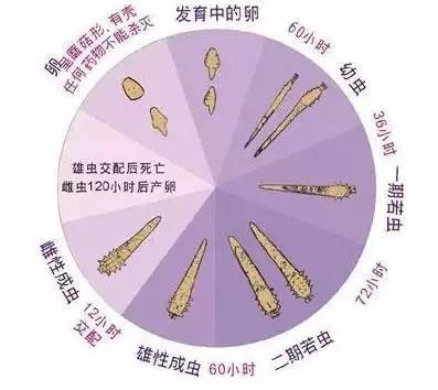 它比蟑螂还可怕，每天潜伏在宝宝身边！99%的妈妈都不知道...