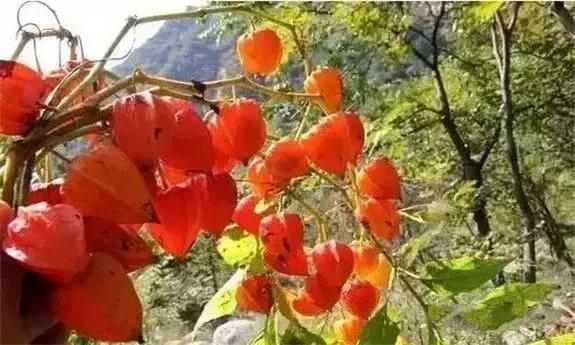 牡丹江人有福吗,牡丹江人生活好吗