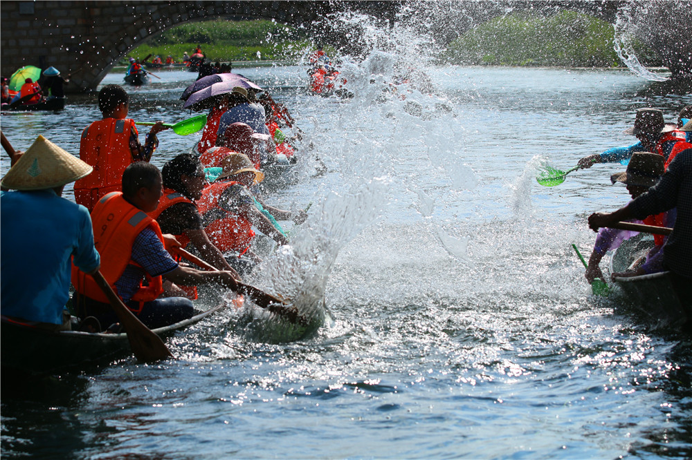 *萨特帕**一场与荷花无法拒绝的浪漫之旅