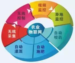 下暴雨怎么办最有效的方法,大暴雨农民补救方法