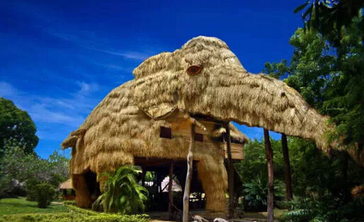 五星级卡通酒店,各种各样的豪华酒店