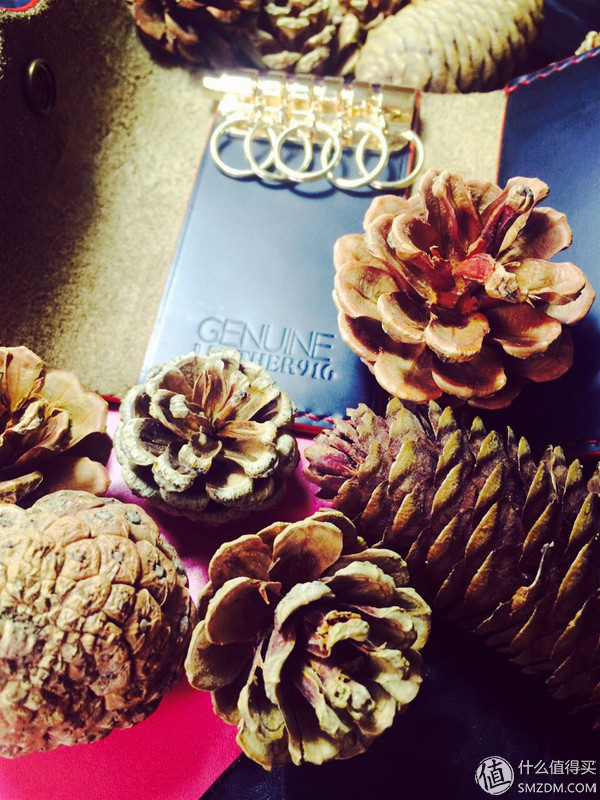 很有心的小礼物,特别小钥匙包