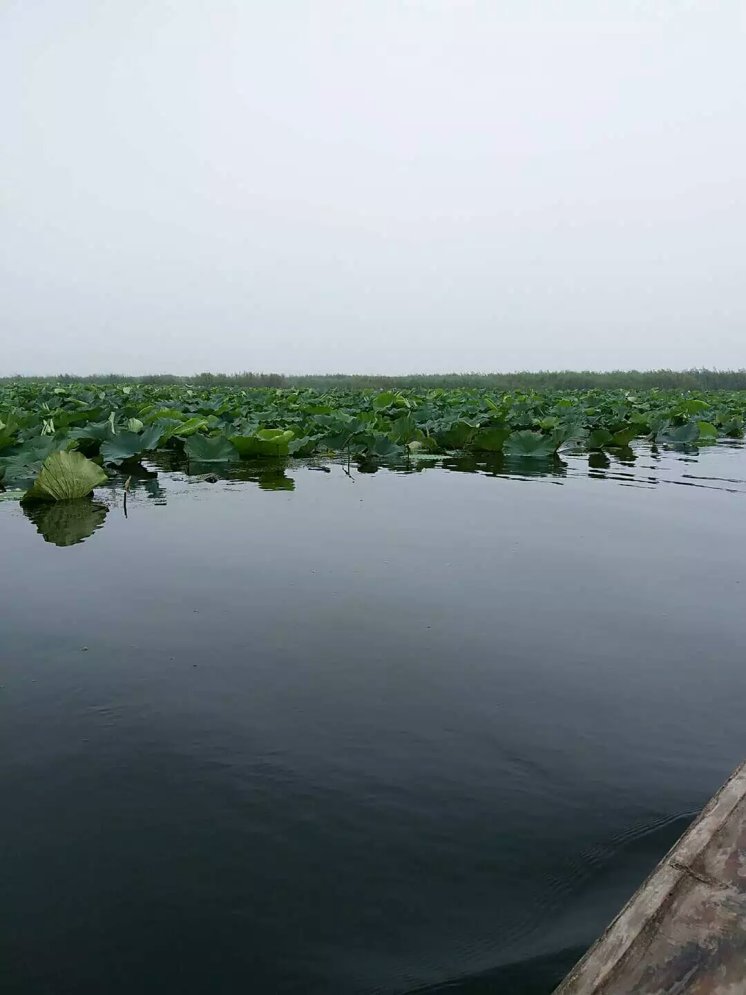 vivox7上手体验,vivox7缺点演示