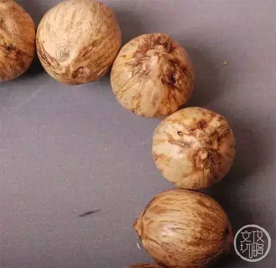 菩提有什么本事,菩提招财辟邪