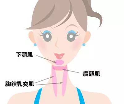 如何减掉双下巴视频,如何减掉双下巴和小肚子