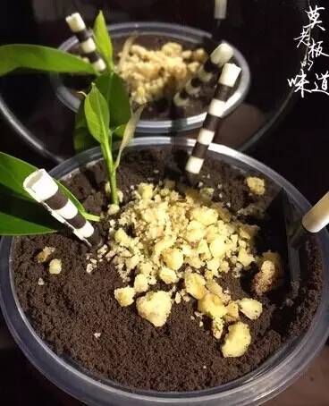 来自思密达国的icecream,夏天你想和谁一起来拔草?