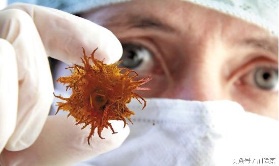 加健康资讯:妇科主任对你说的7个悄悄话