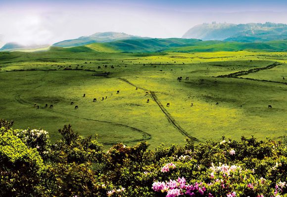 直击矿城之殇——六盘水