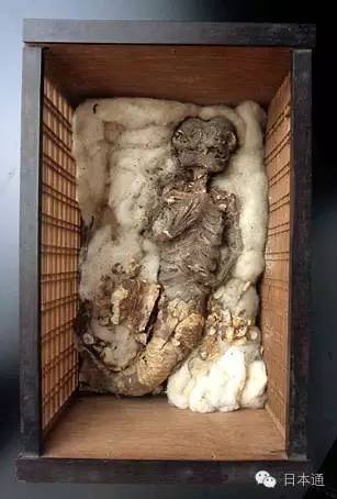 是真是假?日本传说中的河童天狗人鱼的木乃伊