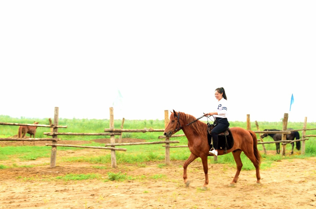 韩城黄河骑马,韩城古城骑马