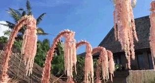 林心如霍建华结婚纪念日,林心如霍建华婚礼致词