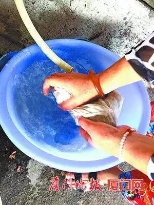 阳西潮汕石花冻是什么做的,石花冻怎么制作