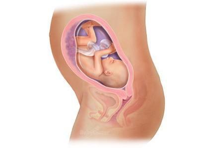 惊奇宝宝第一季,怀孕过程中的十大惊奇发现