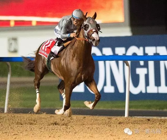 世界马匹最新排名出炉,“荣进之光”三度蝉联榜首