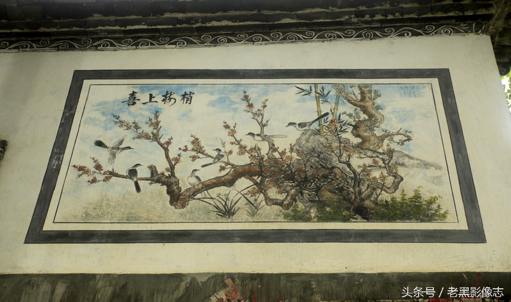 苍山西坡莲花峰,大理苍山秘境在哪里