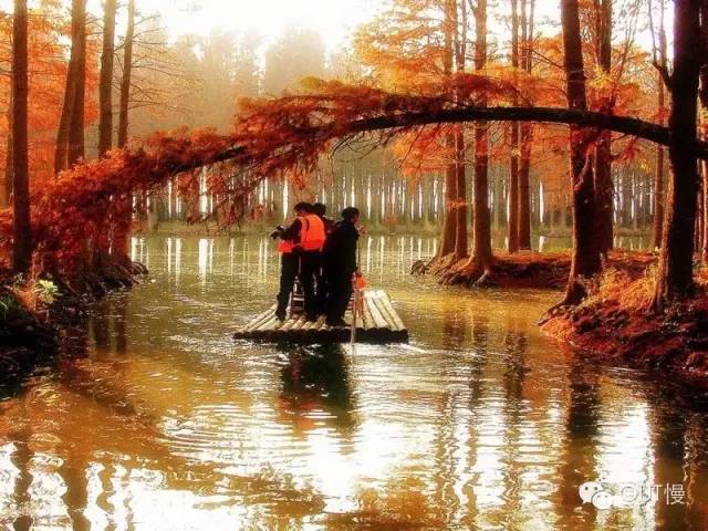 江苏穷富城市排名,江苏人均gdp最富的是哪个市