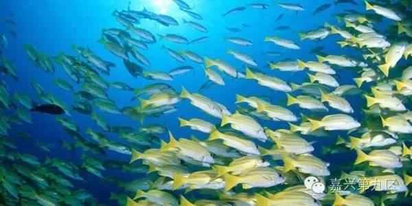 宁波出发高铁4-5小时能到哪里,宁波出发坐高铁三日游推荐