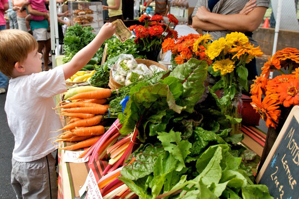 8月6日-8月12日大温一周精彩活动一起来看流星雨吧!