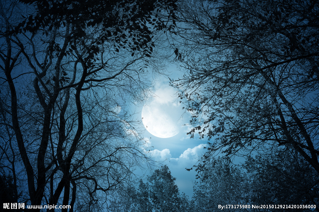 女子深夜爬上屋顶称不想结婚,女子半夜爬楼顶不想结婚