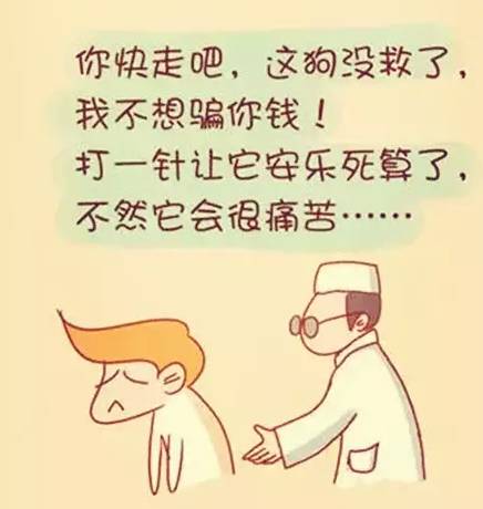 陪伴是最长情的告白你同意吗,陪伴是最长情的告白请勿连赞