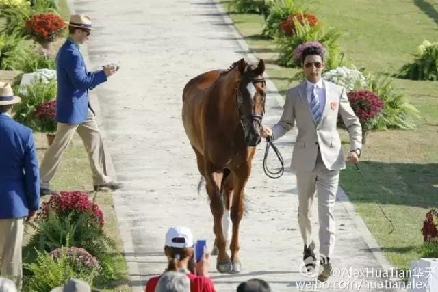 熬夜看世界杯要怎样保护脾胃,熬夜看世界杯抵抗力下降怎么办