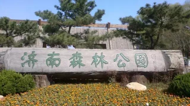 济南11月份有什么好玩的地方,济南春节好玩的地方推荐