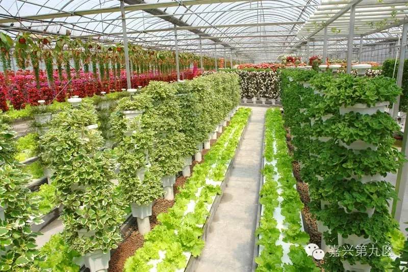 宁波出发高铁4-5小时能到哪里,宁波出发坐高铁三日游推荐