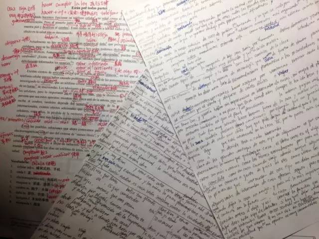 校红|浙江工业大学陈晓雨-音乐、外语、还有世界和平!