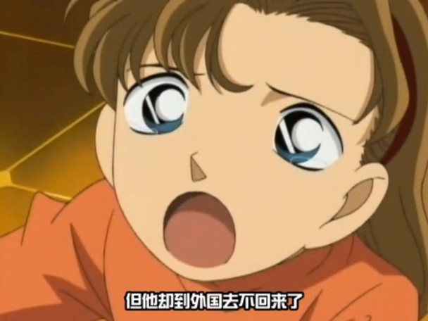 名侦探柯南小兰9个情敌,名侦探柯南里小兰的情敌是哪一集