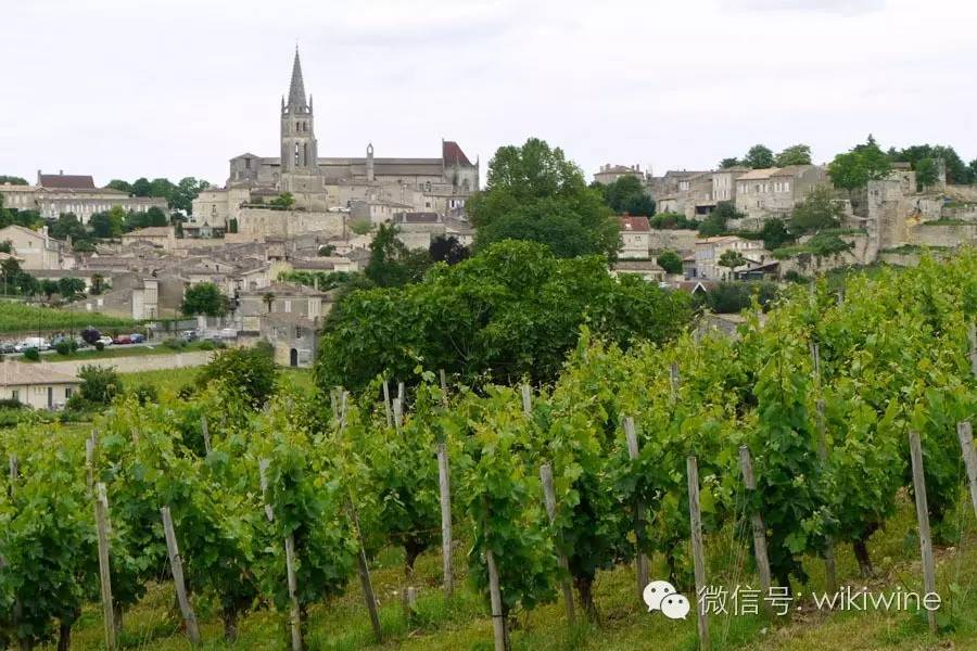 新手喝葡萄酒怎么喝,新手葡萄酒知识培训