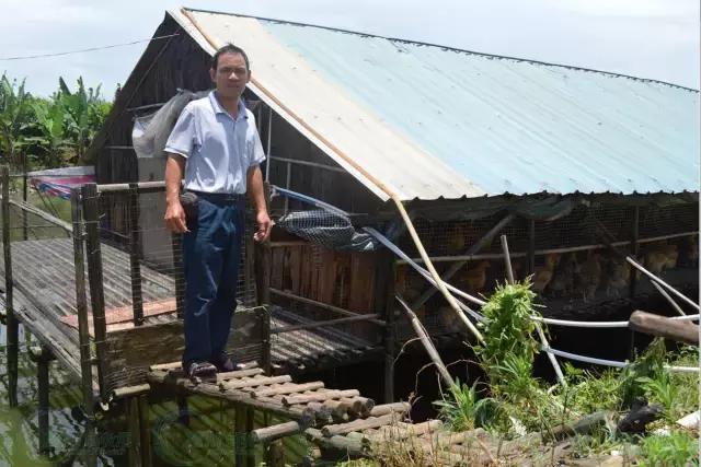 这个英德人轻松年入百万，竟是因为这个！