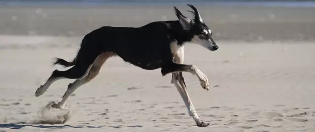 就算吃土也要投资自己,就算吃土也要买车