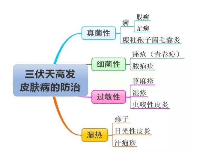 三伏天容易引发什么皮肤病,皮肤病伏天吃什么好