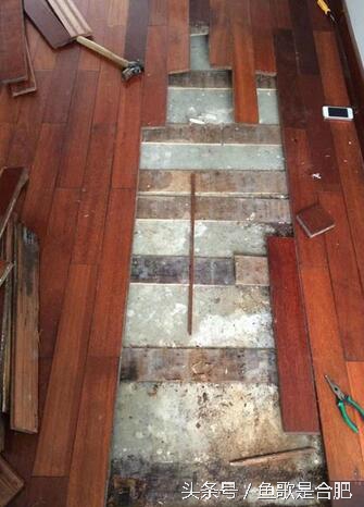 地板不小心水泡了鼓包了怎么办,地板不平还让水泡了怎么办