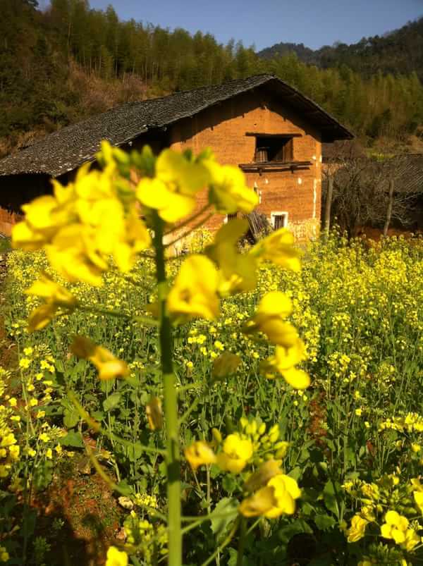 稻草人旅行有什么特色,稻草人旅行沙漠
