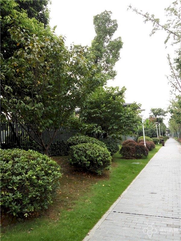 纯水岸东湖解读,武汉东湖纯水岸房价