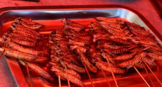 中国最奇葩的九种美食,一般人不敢尝试的十大奇葩美食