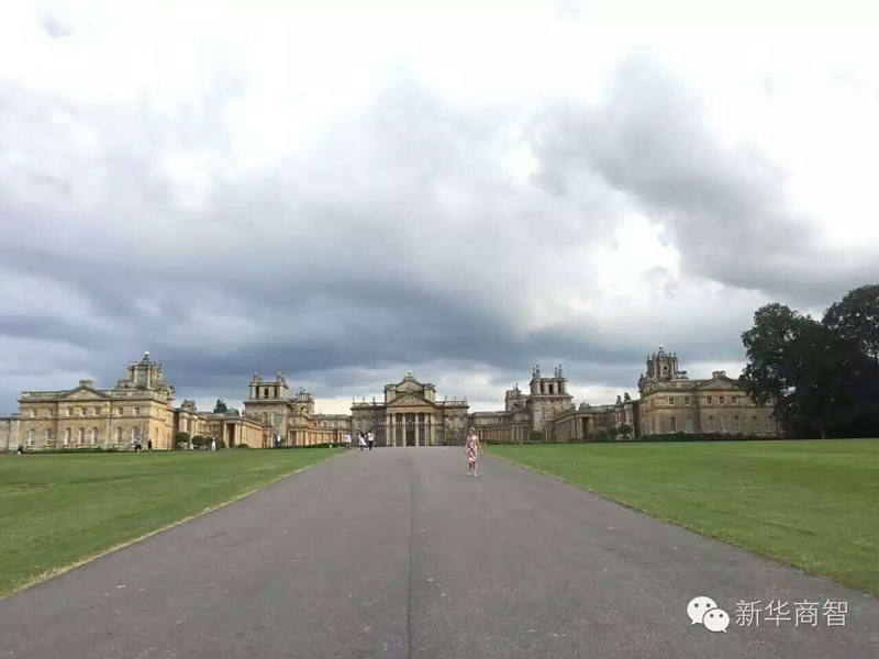 新华商智个人成长业绩提升,新华商智怎么样