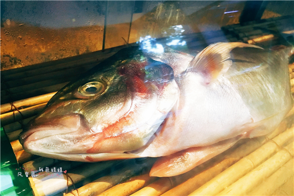 #风餐录#鱼旨家,这样的握寿司才是我的菜