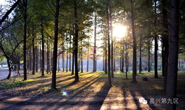 宁波出发高铁4-5小时能到哪里,宁波出发坐高铁三日游推荐