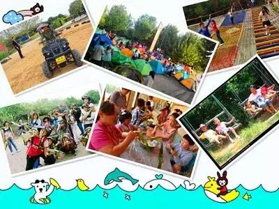 武汉哪里可以玩摩托艇水上飞人,武汉哪里可以玩水上飞人