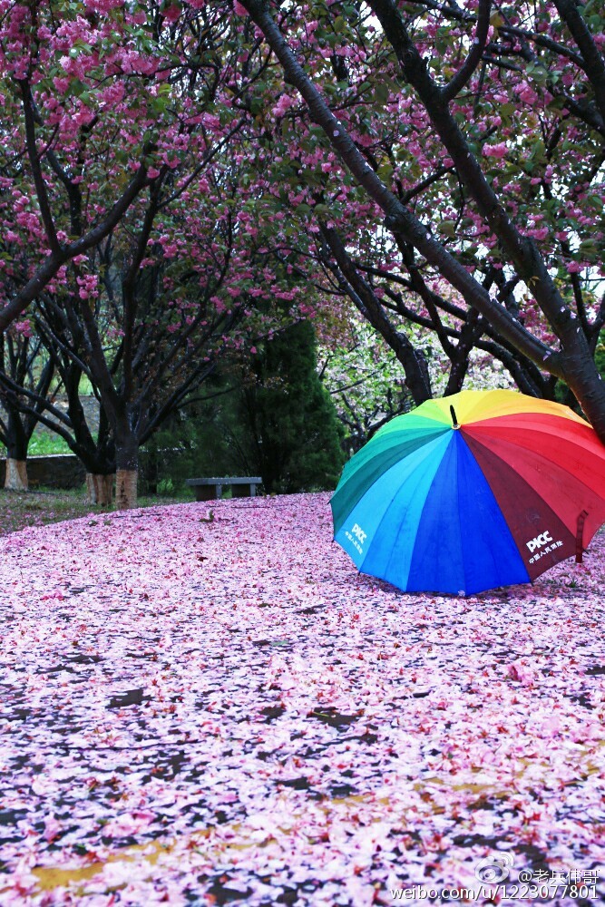 住下来，才知道旅顺口有多好