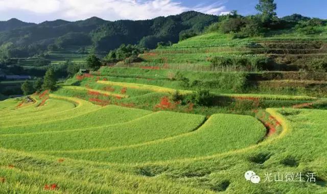 光山发源地,光山在全国出名吗