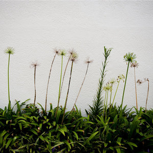 jr大阪一日游,大阪jr旅游攻略