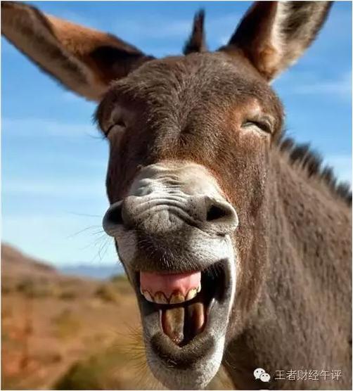 炒股最牛板块技巧图片解析,怎么样炒股才能赚到钱