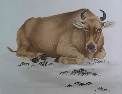 属牛人2024年事业财运运势,属牛人今年的财运在哪个方位